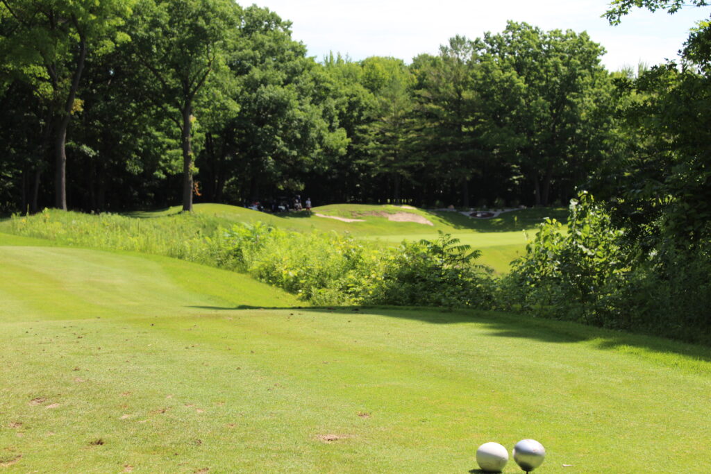 Lush golf course with trees in background.