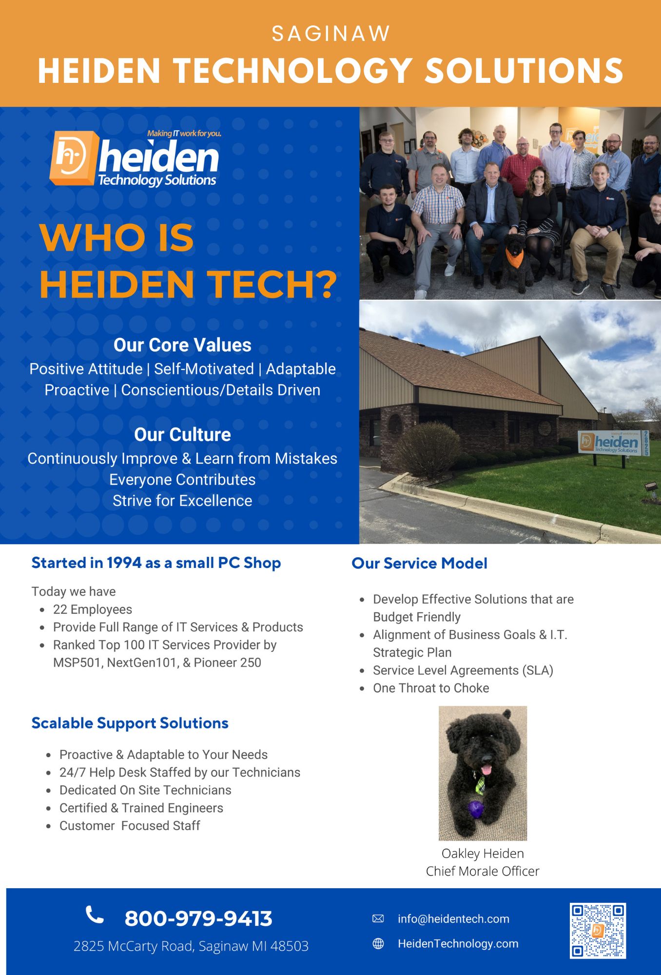 Heiden Technology Solutions core values and services overview.