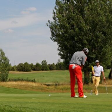 Golfers on green, one preparing to putt